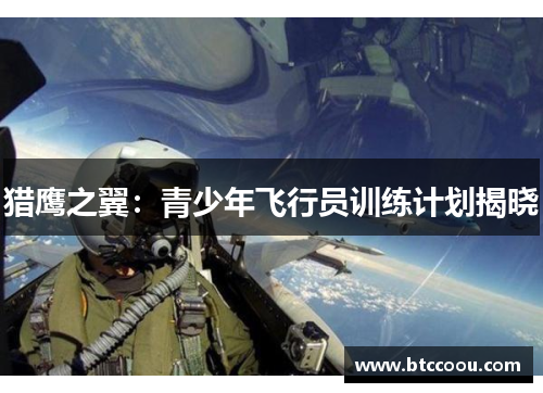 猎鹰之翼：青少年飞行员训练计划揭晓