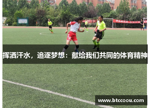 挥洒汗水，追逐梦想：献给我们共同的体育精神
